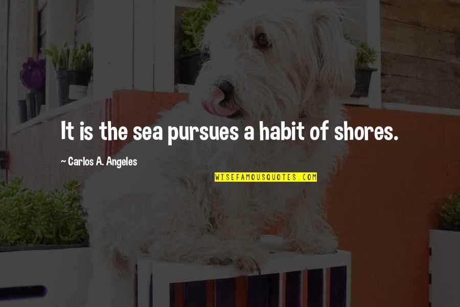 Treadley Quotes By Carlos A. Angeles: It is the sea pursues a habit of