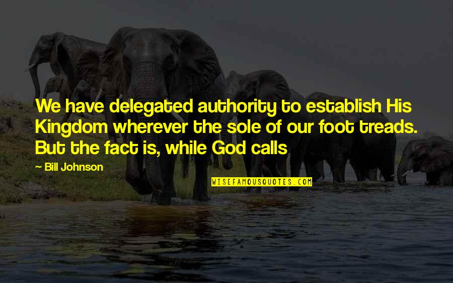Treads Quotes By Bill Johnson: We have delegated authority to establish His Kingdom