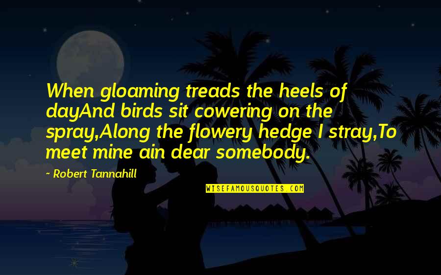 Treads Quotes By Robert Tannahill: When gloaming treads the heels of dayAnd birds