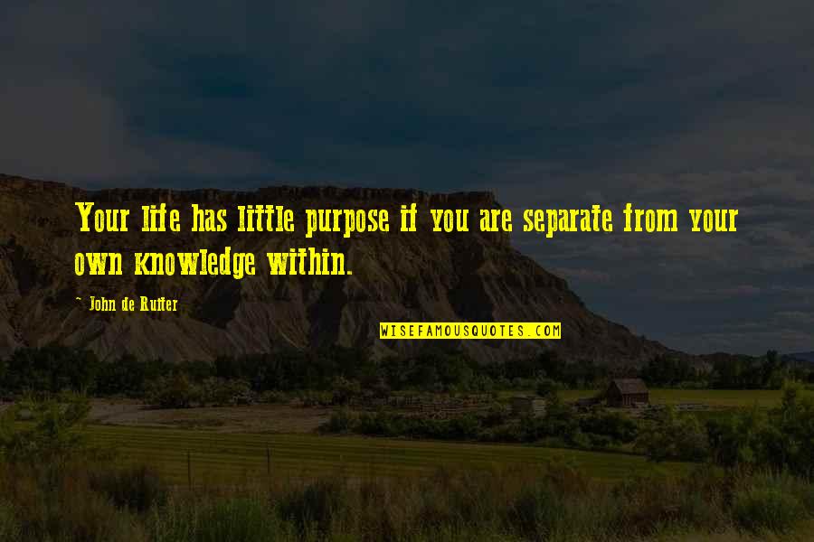 Treasure Goodreads Quotes By John De Ruiter: Your life has little purpose if you are