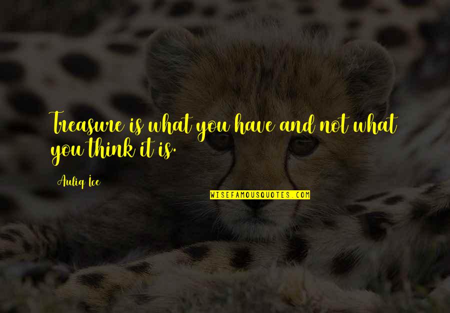 Treasure What You Have Now Quotes By Auliq Ice: Treasure is what you have and not what