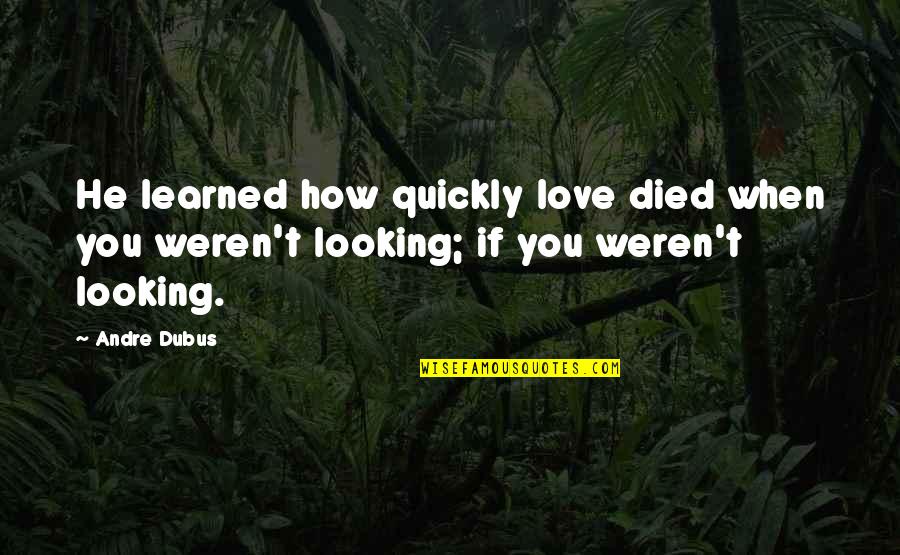 Treasured Moments With Friends Quotes By Andre Dubus: He learned how quickly love died when you