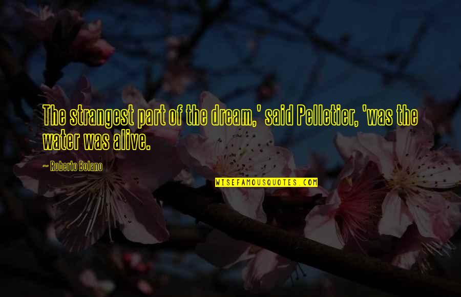 Treasures Friendships Quotes By Roberto Bolano: The strangest part of the dream,' said Pelletier,