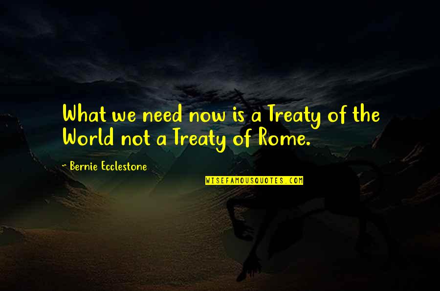 Treaty 6 Quotes By Bernie Ecclestone: What we need now is a Treaty of