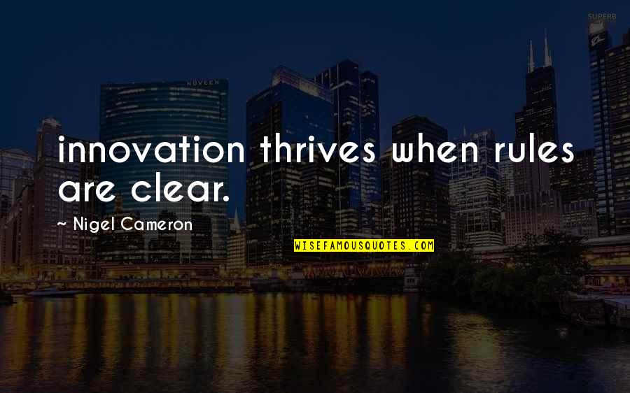 Trebam Da Quotes By Nigel Cameron: innovation thrives when rules are clear.