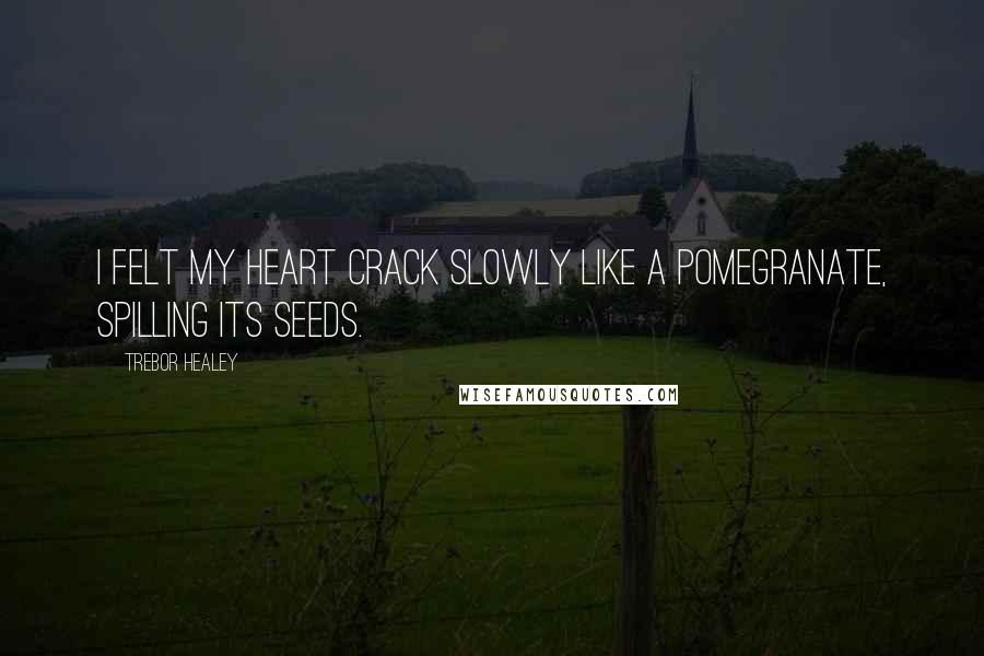 Trebor Healey quotes: I felt my heart crack slowly like a pomegranate, spilling its seeds.