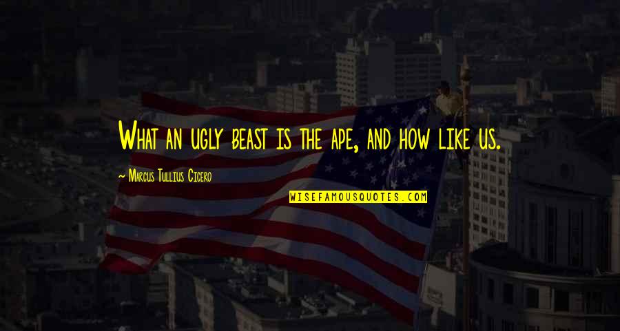 Trebuie In Engleza Quotes By Marcus Tullius Cicero: What an ugly beast is the ape, and