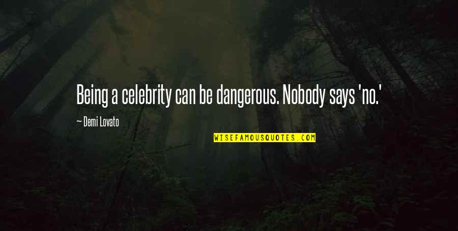 Trecartin Neurology Quotes By Demi Lovato: Being a celebrity can be dangerous. Nobody says