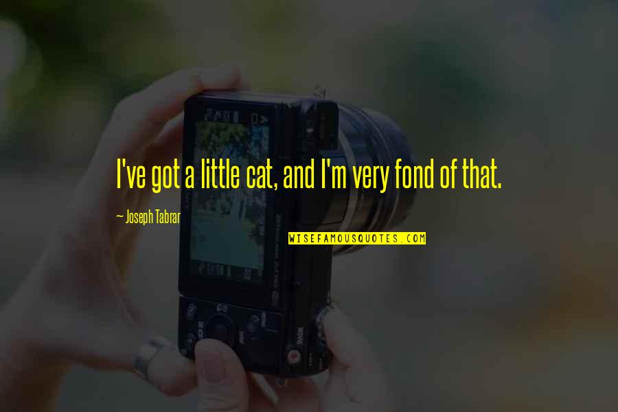 Trecute Quotes By Joseph Tabrar: I've got a little cat, and I'm very Trecute Quotes By Joseph Tabrar: I've got a little cat, and I'm very