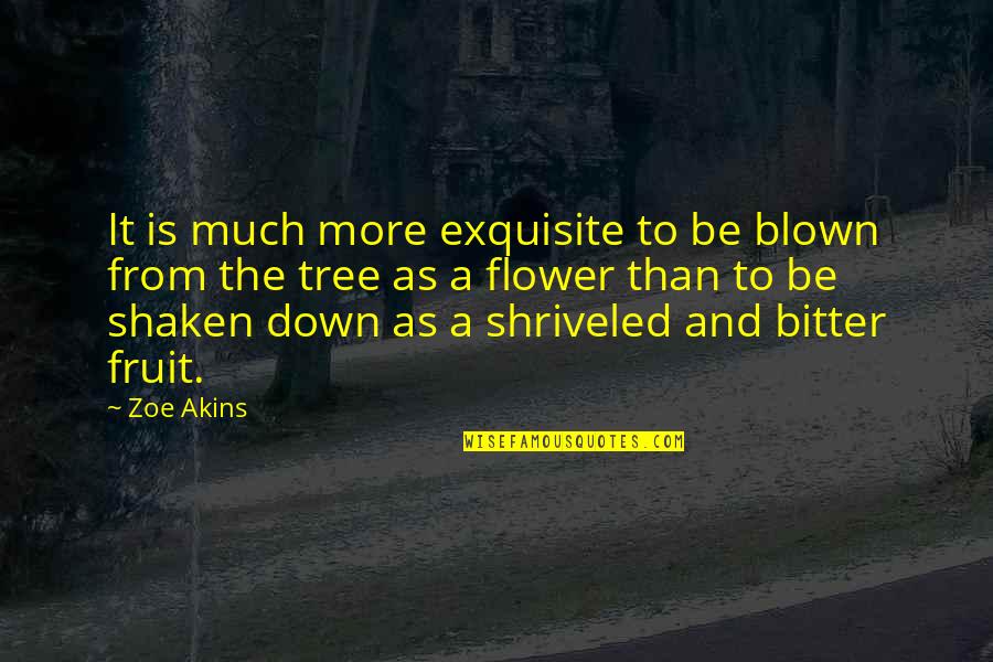 Tree And Flower Quotes By Zoe Akins: It is much more exquisite to be blown