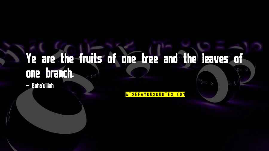 Tree And Leaves Quotes By Baha'u'llah: Ye are the fruits of one tree and