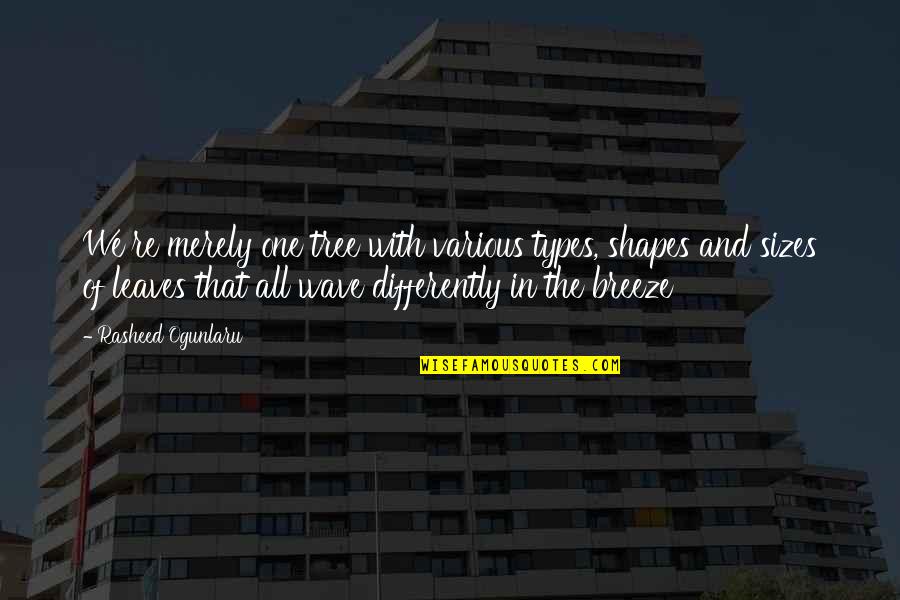 Tree And Leaves Quotes By Rasheed Ogunlaru: We're merely one tree with various types, shapes Tree And Leaves Quotes By Rasheed Ogunlaru: We're merely one tree with various types, shapes