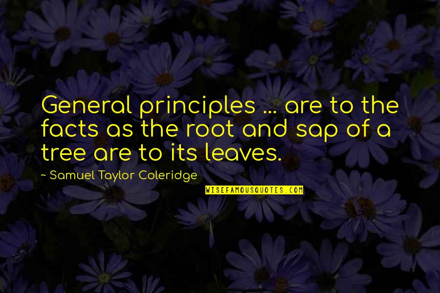 Tree And Leaves Quotes By Samuel Taylor Coleridge: General principles ... are to the facts as Tree And Leaves Quotes By Samuel Taylor Coleridge: General principles ... are to the facts as