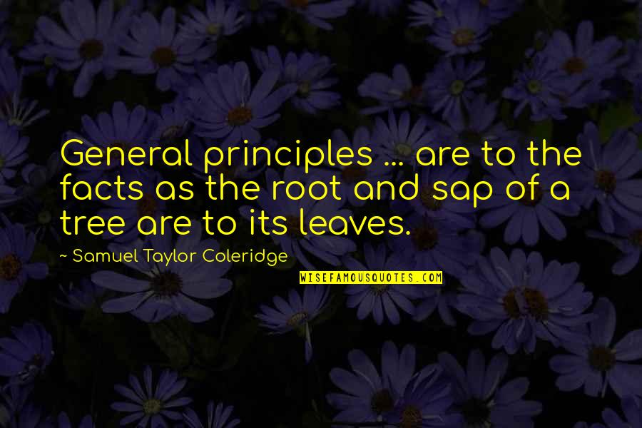 Tree And Leaves Quotes By Samuel Taylor Coleridge: General principles ... are to the facts as