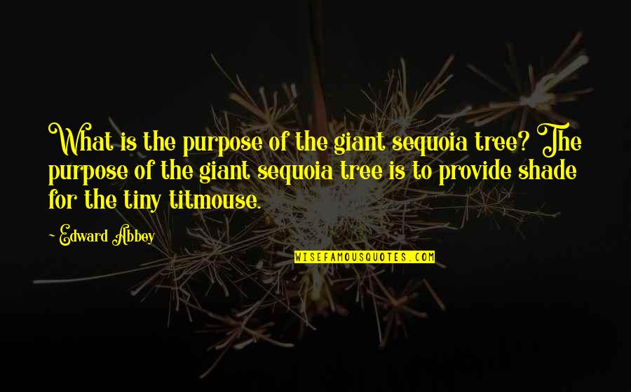 Tree And Shade Quotes By Edward Abbey: What is the purpose of the giant sequoia