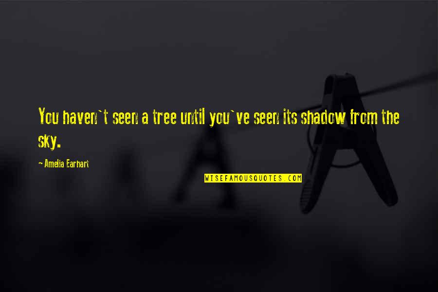 Tree And Shadow Quotes By Amelia Earhart: You haven't seen a tree until you've seen