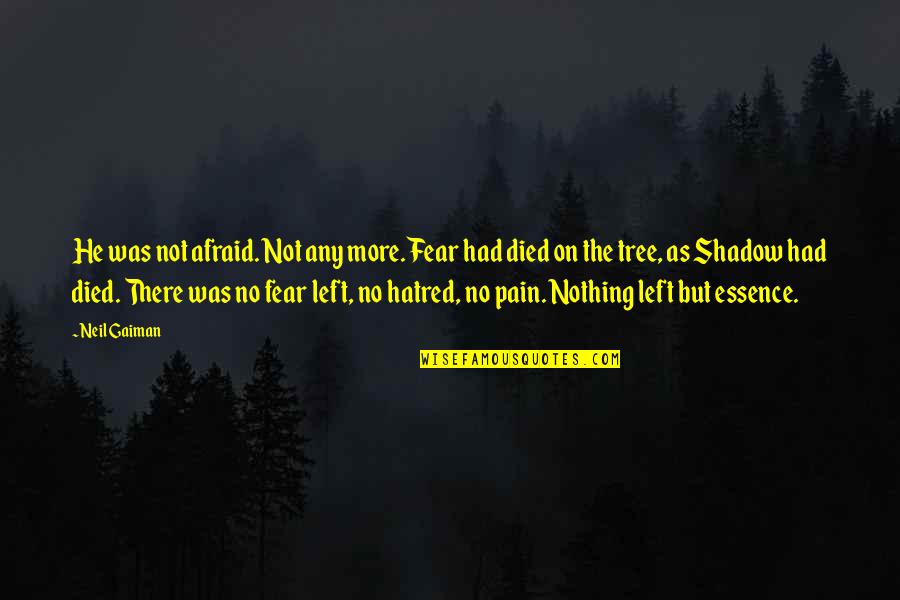 Tree And Shadow Quotes By Neil Gaiman: He was not afraid. Not any more. Fear