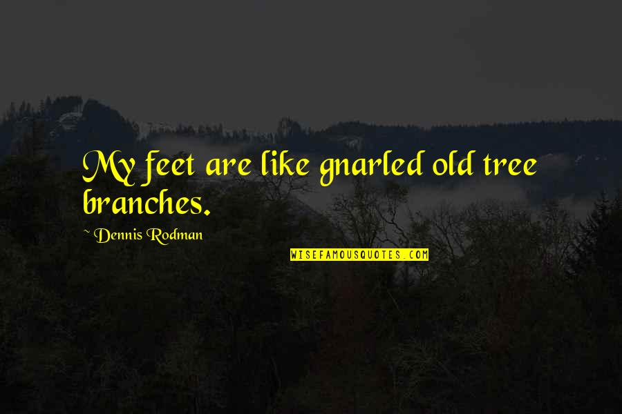 Tree Branches Quotes By Dennis Rodman: My feet are like gnarled old tree branches.