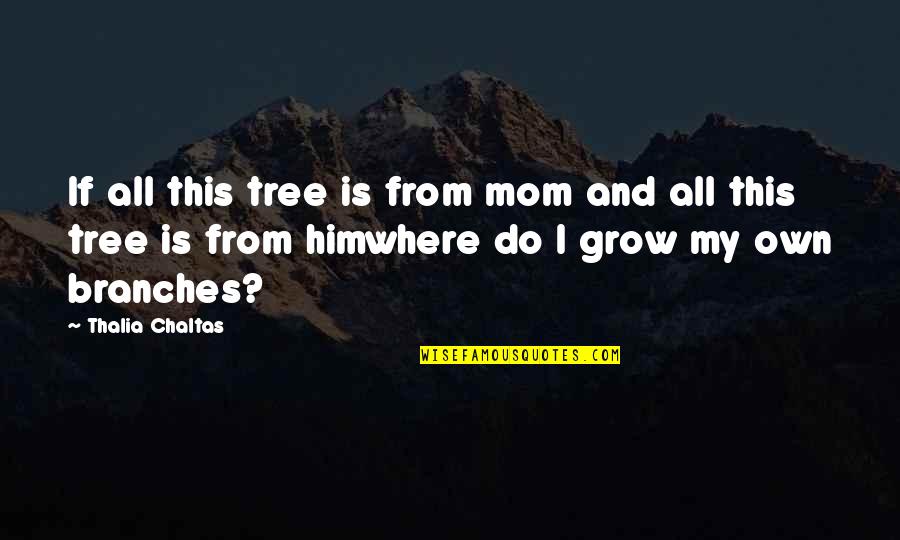 Tree Branches Quotes By Thalia Chaltas: If all this tree is from mom and