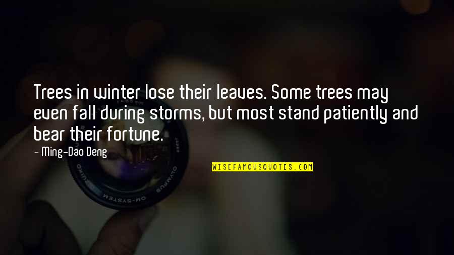 Tree But Leaves Quotes By Ming-Dao Deng: Trees in winter lose their leaves. Some trees Tree But Leaves Quotes By Ming-Dao Deng: Trees in winter lose their leaves. Some trees