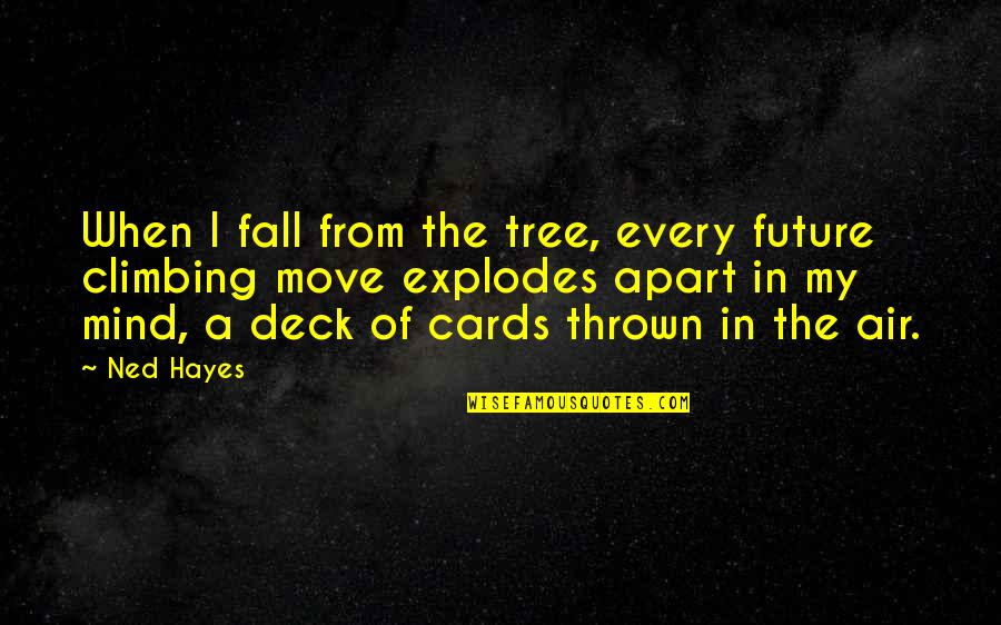 Tree Climbing Quotes By Ned Hayes: When I fall from the tree, every future