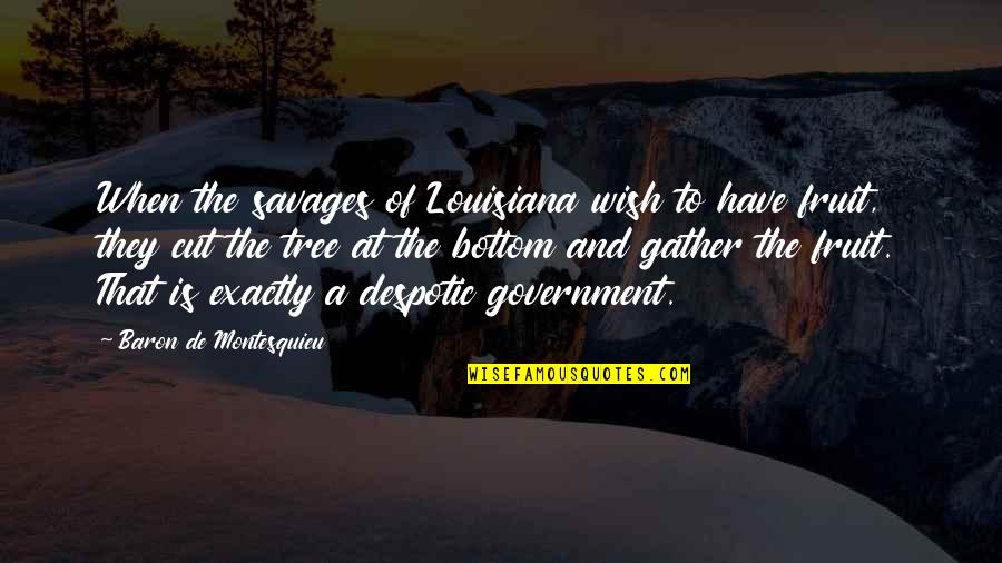 Tree Cutting Quotes By Baron De Montesquieu: When the savages of Louisiana wish to have