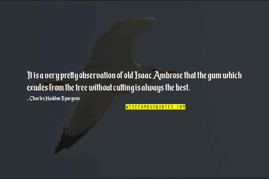 Tree Cutting Quotes By Charles Haddon Spurgeon: It is a very pretty observation of old