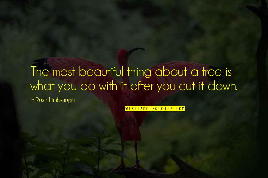 Tree Cutting Quotes By Rush Limbaugh: The most beautiful thing about a tree is