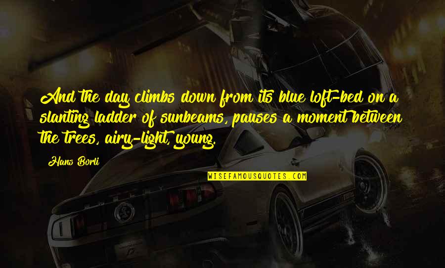 Tree Day Quotes By Hans Borli: And the day climbs down from its blue
