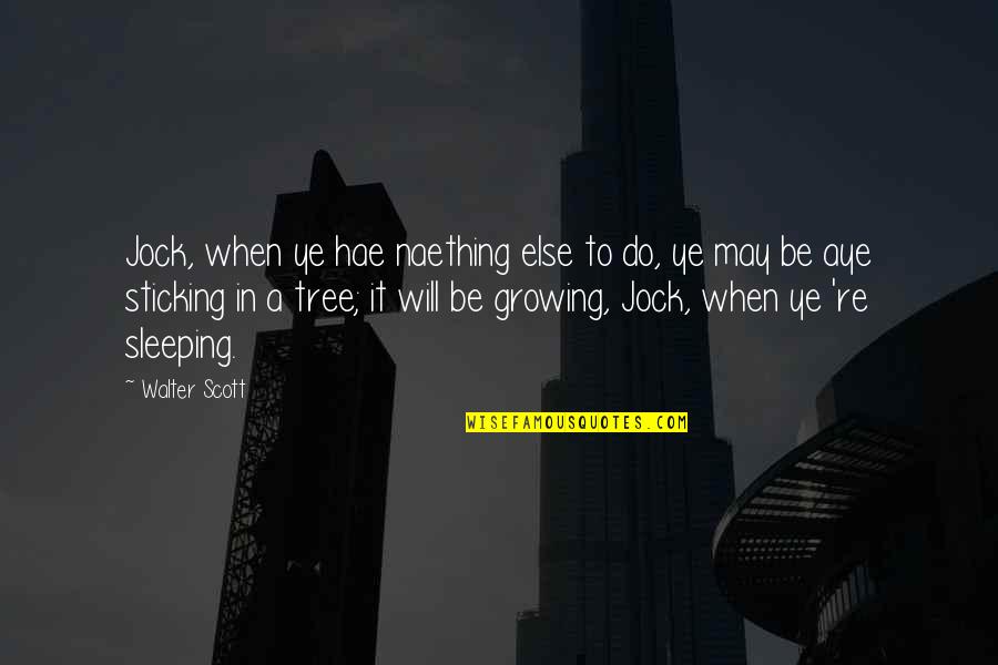 Tree Growing Quotes By Walter Scott: Jock, when ye hae naething else to do,