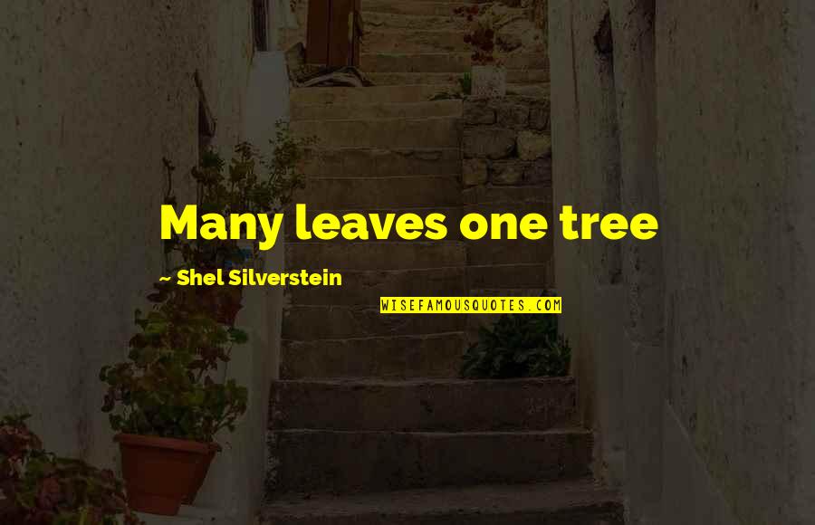 Tree Leaves Quotes By Shel Silverstein: Many leaves one tree