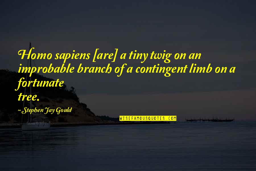 Tree Limb Quotes By Stephen Jay Gould: Homo sapiens [are] a tiny twig on an