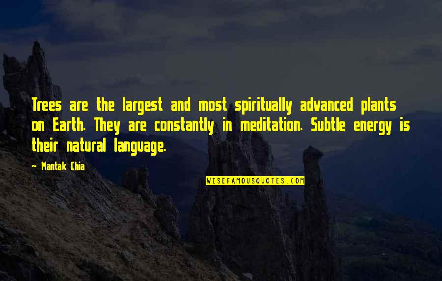 Tree Meditation Quotes By Mantak Chia: Trees are the largest and most spiritually advanced