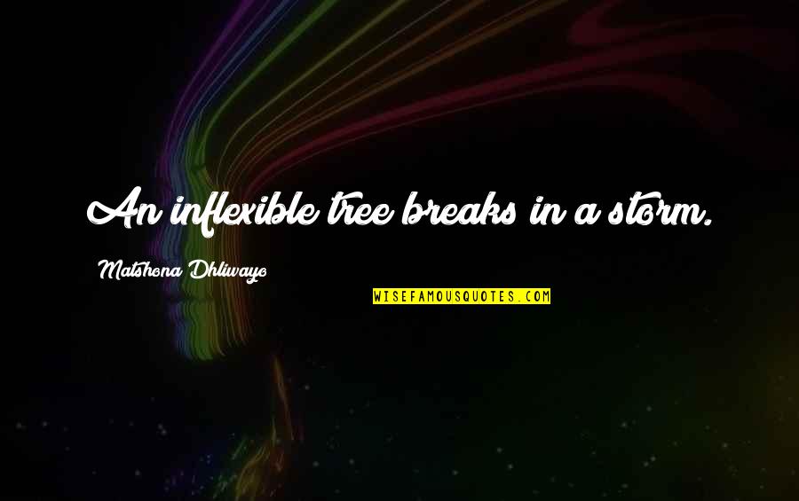 Tree Quotes Quotes By Matshona Dhliwayo: An inflexible tree breaks in a storm.