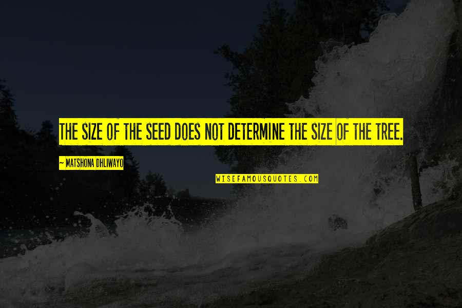 Tree Quotes Quotes By Matshona Dhliwayo: The size of the seed does not determine