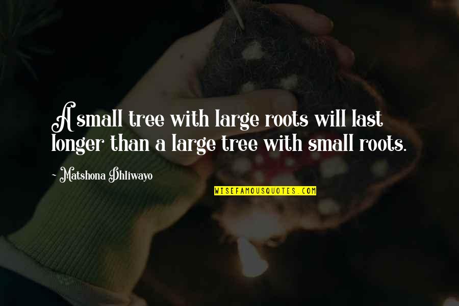 Tree Quotes Quotes By Matshona Dhliwayo: A small tree with large roots will last