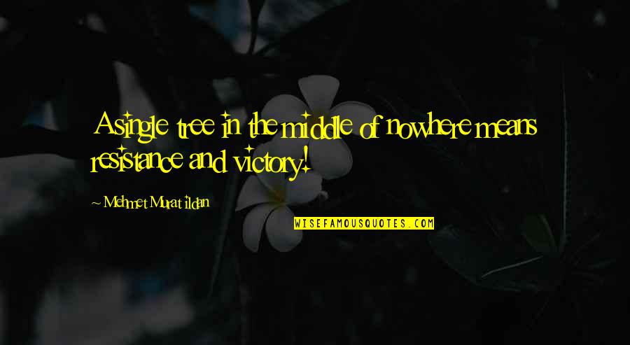 Tree Quotes Quotes By Mehmet Murat Ildan: A single tree in the middle of nowhere