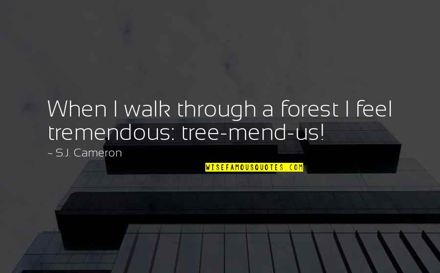 Tree Quotes Quotes By S.J. Cameron: When I walk through a forest I feel