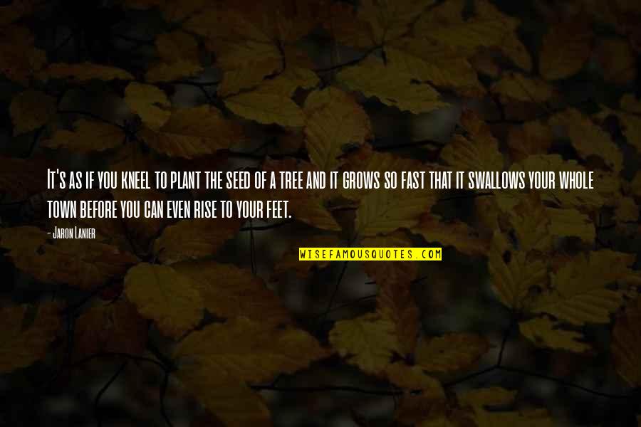 Tree Seed Quotes By Jaron Lanier: It's as if you kneel to plant the Tree Seed Quotes By Jaron Lanier: It's as if you kneel to plant the