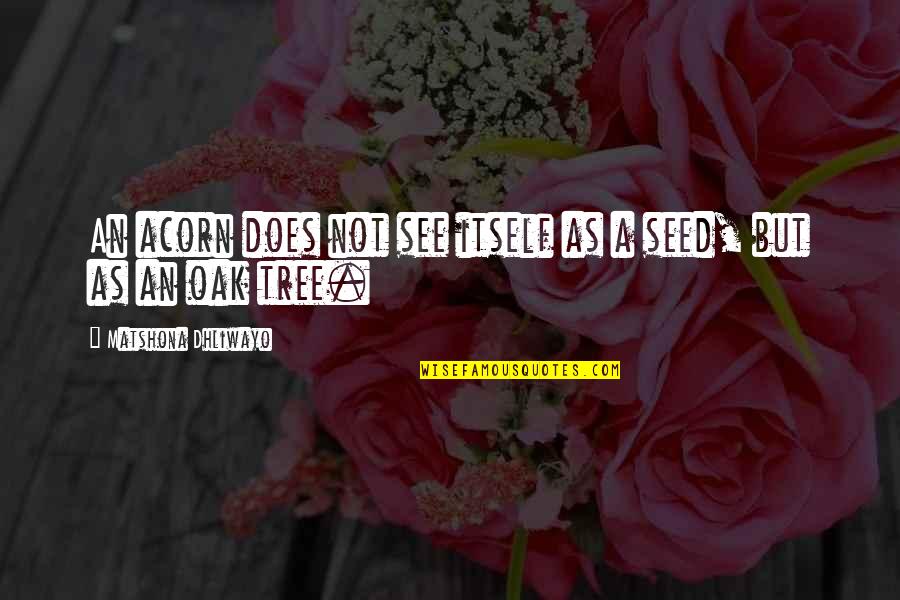Tree Seed Quotes By Matshona Dhliwayo: An acorn does not see itself as a Tree Seed Quotes By Matshona Dhliwayo: An acorn does not see itself as a