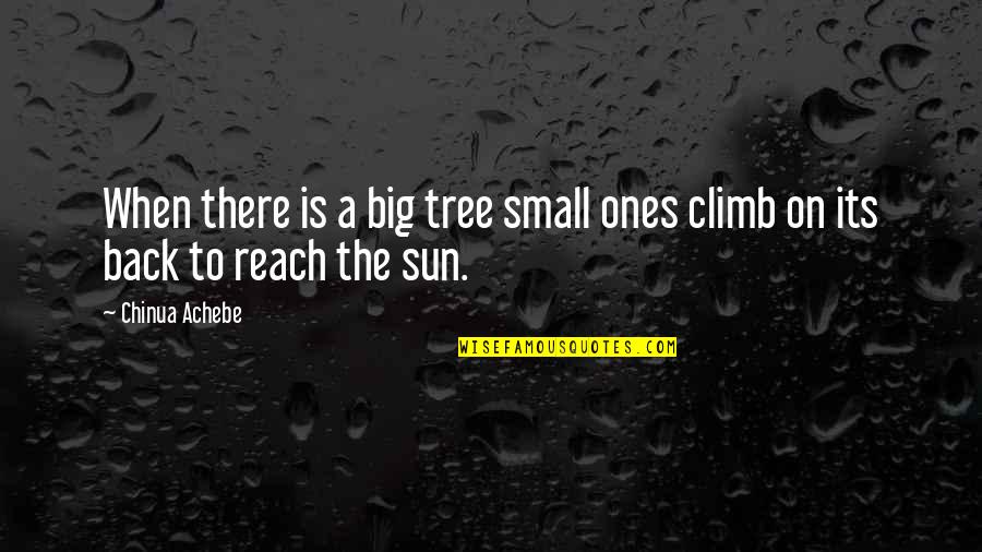 Tree Sun Quotes By Chinua Achebe: When there is a big tree small ones