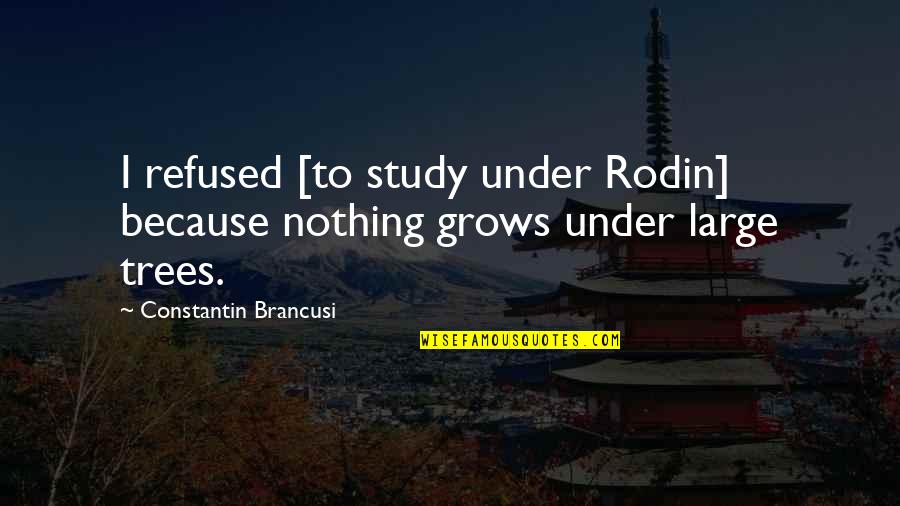 Tree That Grows Quotes By Constantin Brancusi: I refused [to study under Rodin] because nothing