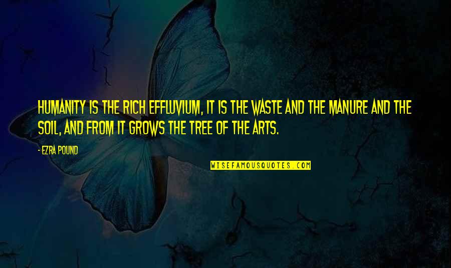 Tree That Grows Quotes By Ezra Pound: Humanity is the rich effluvium, it is the