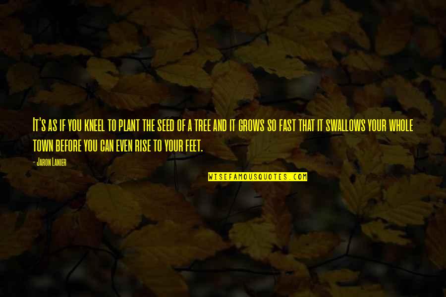 Tree That Grows Quotes By Jaron Lanier: It's as if you kneel to plant the