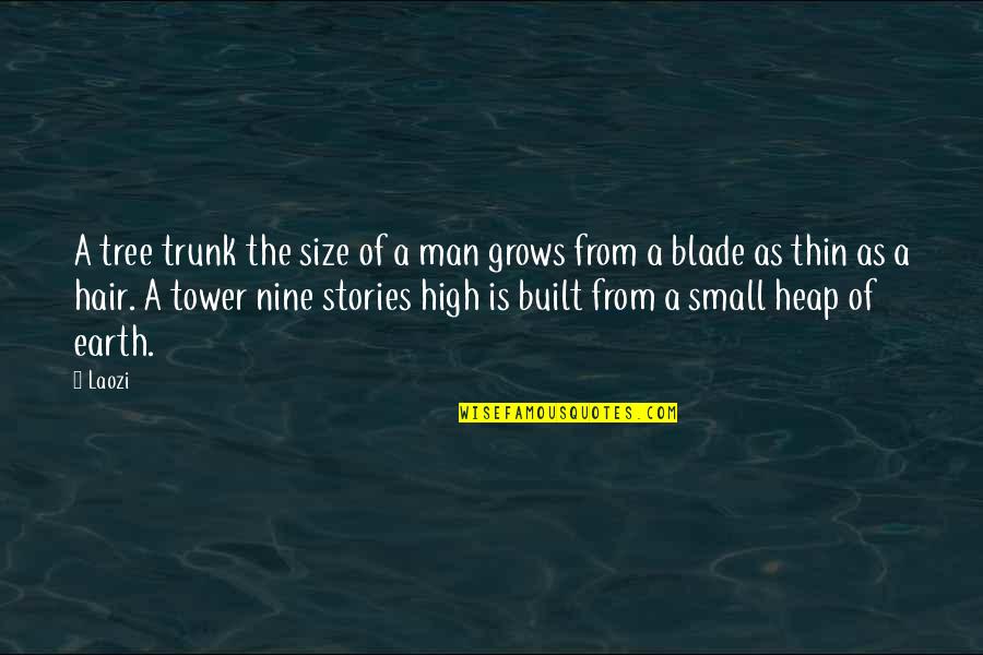Tree That Grows Quotes By Laozi: A tree trunk the size of a man