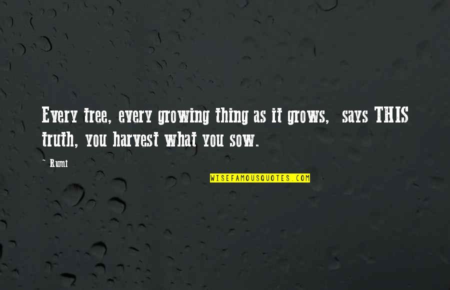 Tree That Grows Quotes By Rumi: Every tree, every growing thing as it grows,