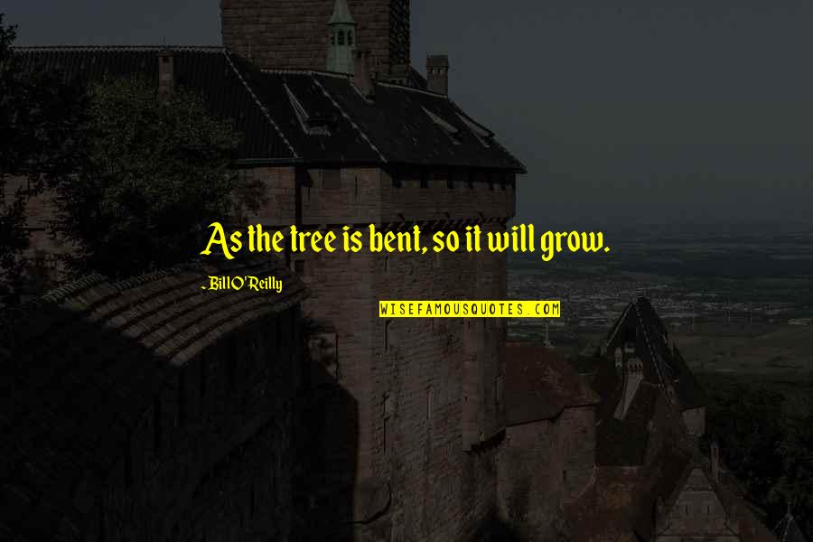 Tree Will Quotes By Bill O'Reilly: As the tree is bent, so it will