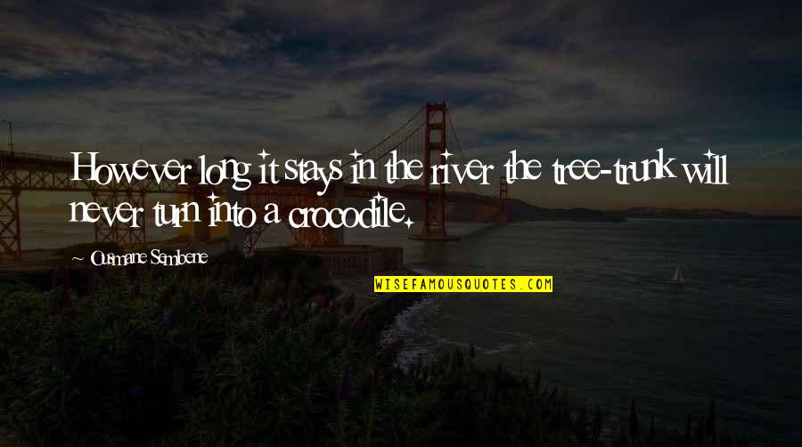 Tree Will Quotes By Ousmane Sembene: However long it stays in the river the