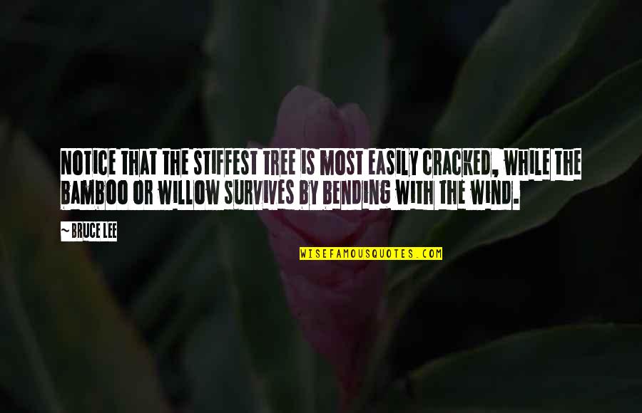 Tree Willow Quotes By Bruce Lee: Notice that the stiffest tree is most easily Tree Willow Quotes By Bruce Lee: Notice that the stiffest tree is most easily