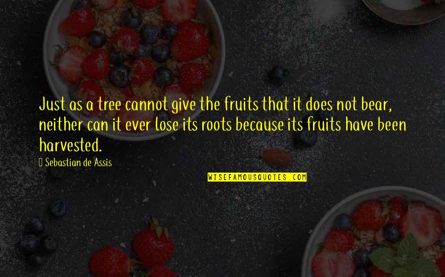 Tree With Fruits Quotes By Sebastian De Assis: Just as a tree cannot give the fruits Tree With Fruits Quotes By Sebastian De Assis: Just as a tree cannot give the fruits